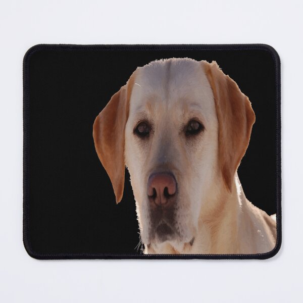 Item preview, Portrait of A Golden Labrador Dog Vector Art designed and sold by taiche.