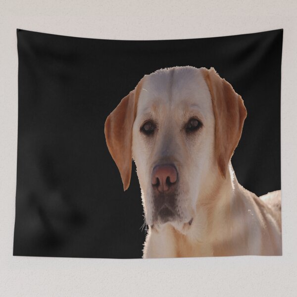 Item preview, Portrait of A Golden Labrador Dog Vector Art designed and sold by taiche.