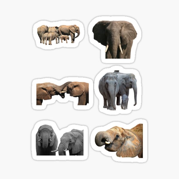 "Elephants Stickers." Sticker for Sale by MICKSPIKS Redbubble