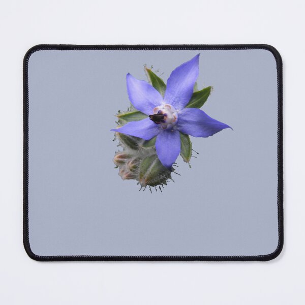 Item preview, Borage designed and sold by indiafrankk.