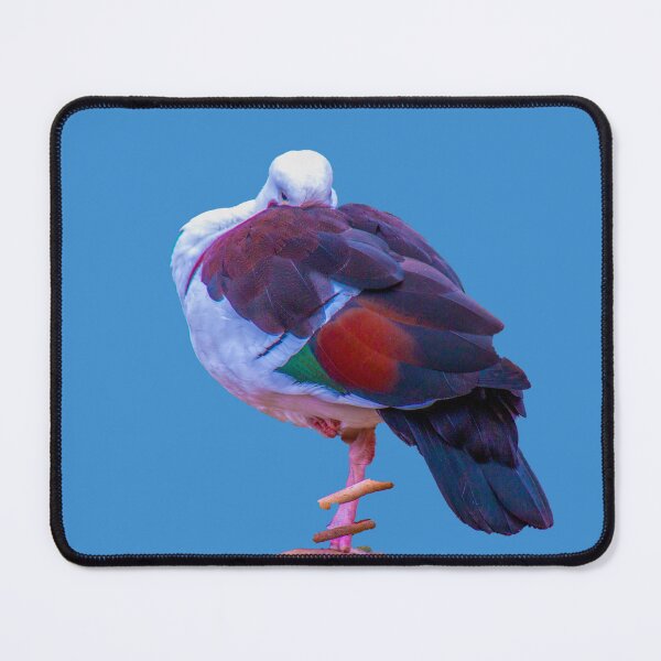 Item preview, Pidgeon designed and sold by indiafrankk.