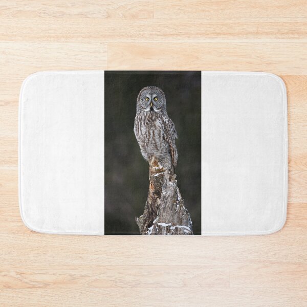 Item preview, The Phantom - Great Grey Owl designed and sold by James Cumming.