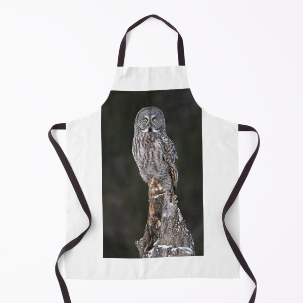 Item preview, The Phantom - Great Grey Owl designed and sold by James Cumming.