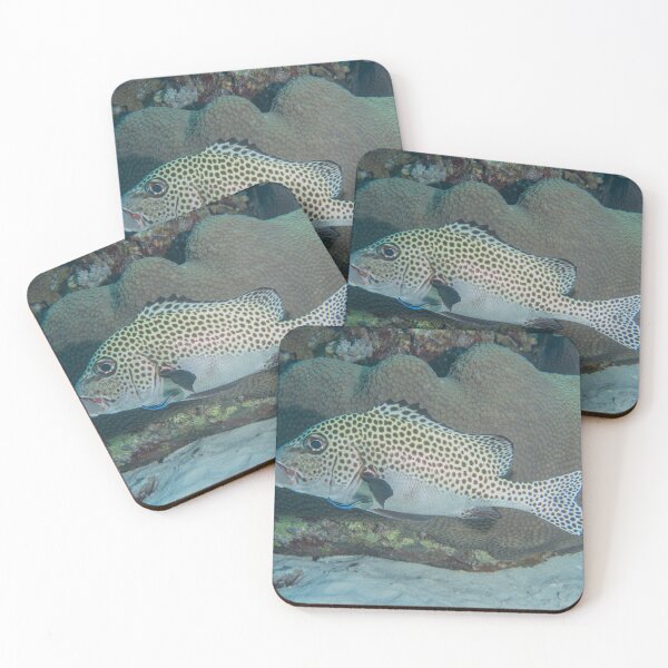 Item preview, Fish swim at the Tubbataha Reefs national park Philippines designed and sold by yeshayad.
