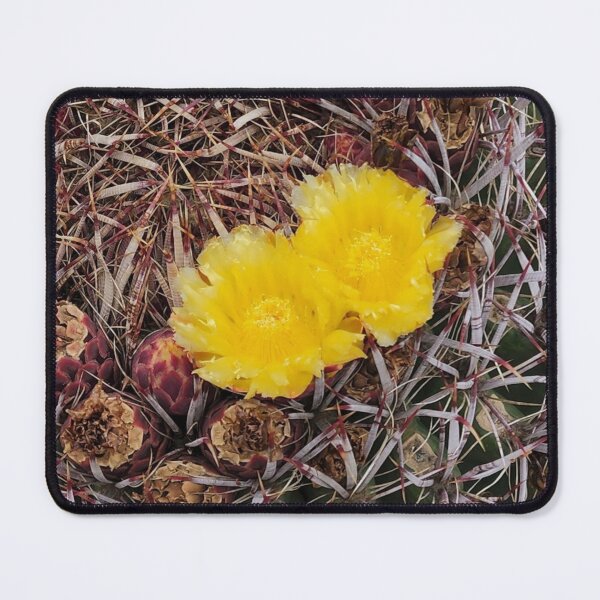 Item preview, Cactus Flowers Prickly Photo Gifts designed and sold by Willyboy16.