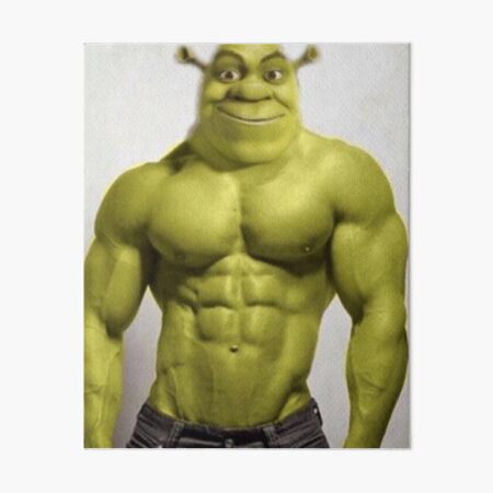 Shrek Face Meme Photographic Print for Sale by mylifeasgaia