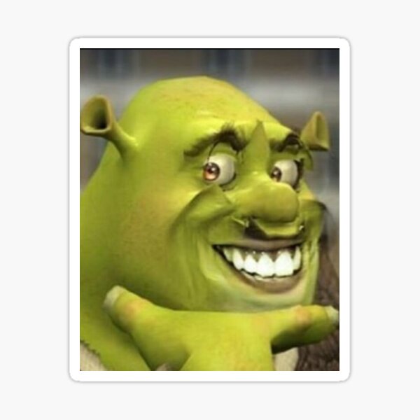 Face Shrek #shrek #shrekmeme #rizz, shrek face meme