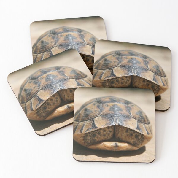 Item preview, Tortoise Hiding In Its Shell Close Up Photograph designed and sold by taiche.
