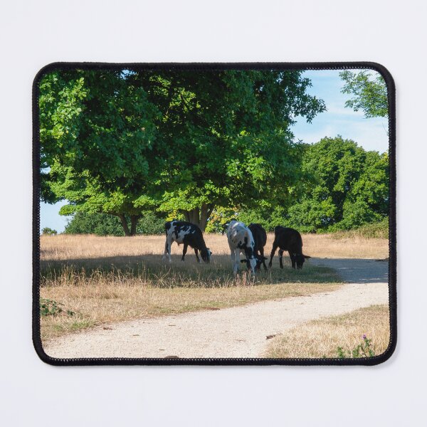 Item preview, The Ridgeway Coombe Hill designed and sold by Jim Hellier.