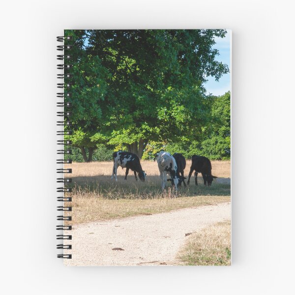 Item preview, The Ridgeway Coombe Hill designed and sold by Jim Hellier.