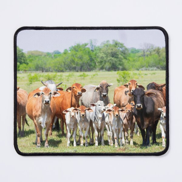 Item preview, We are family designed and sold by noblephoto.