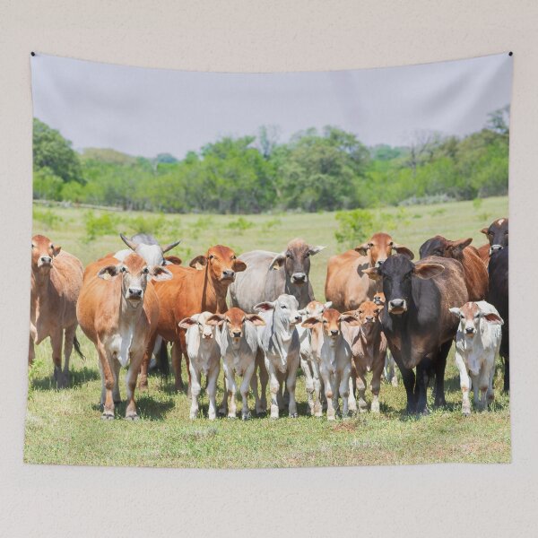 Item preview, We are family designed and sold by noblephoto.