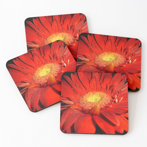 Item preview, Red Gerbera II designed and sold by NunoPires.