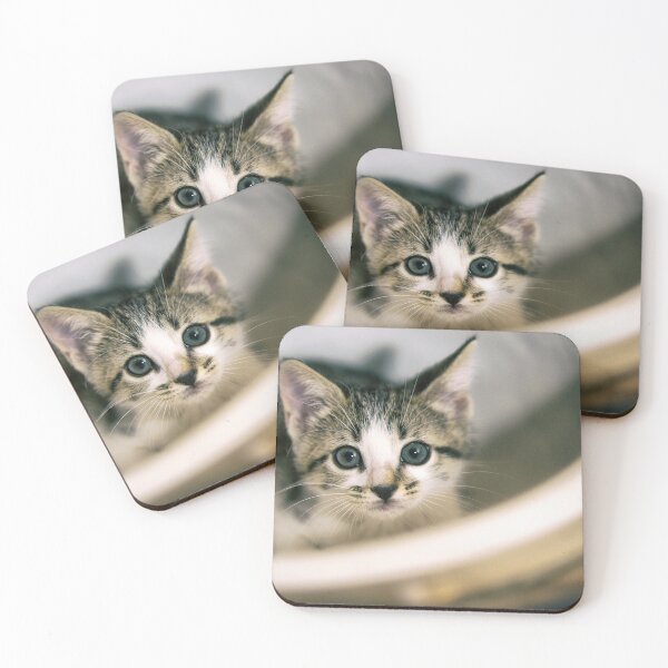 Item preview, Bowl full of kitten designed and sold by noblephoto.