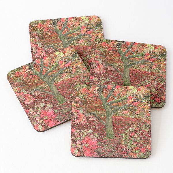 Item preview, Acer at Westonbirt designed and sold by RedHillDigital.