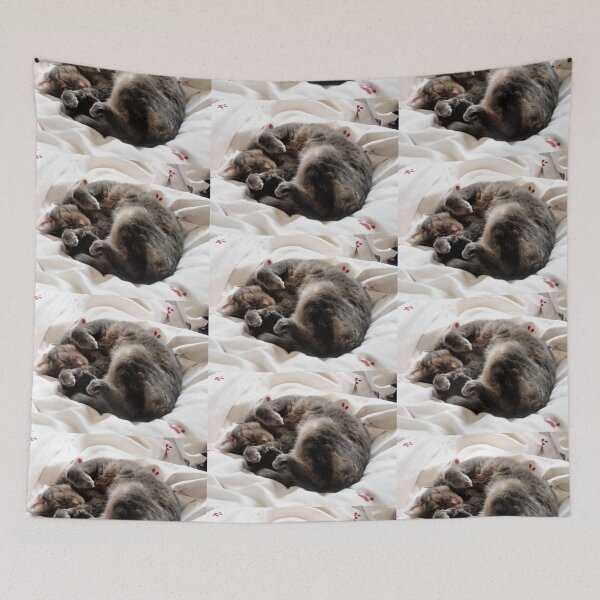Item preview, Queenie finds a quiet place to rest..... designed and sold by lynn carter.