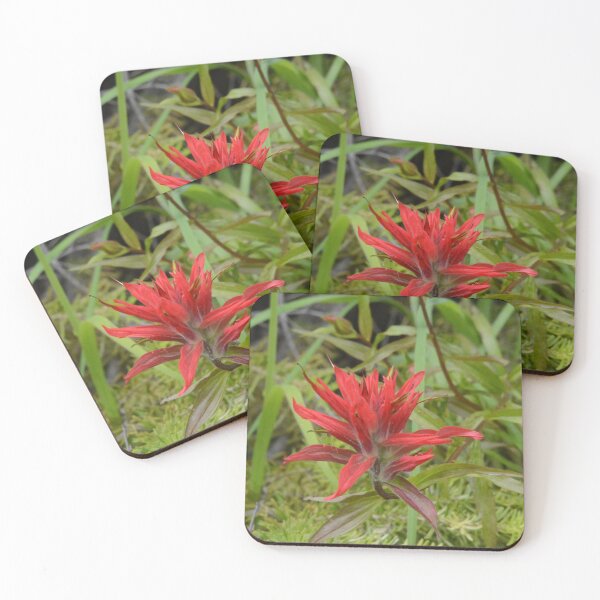 Item preview, Wildflowers of Montana- Indian Paintbrush designed and sold by Whisperingpeaks.