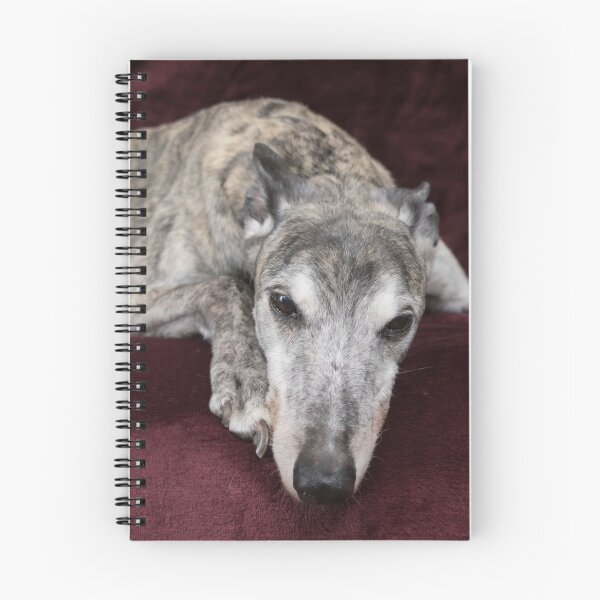 Item preview, Brindle greyhound resting designed and sold by houseofhound.