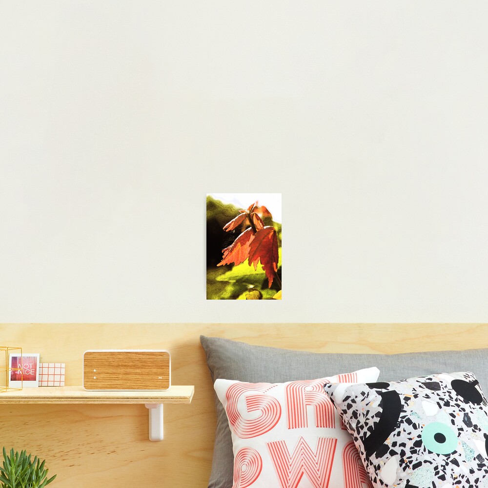 Item preview, Photographic Print designed and sold by MMerritt.