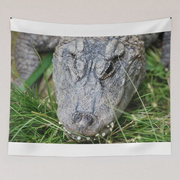 Item preview, Alligator Chinois designed and sold by Deoarts.
