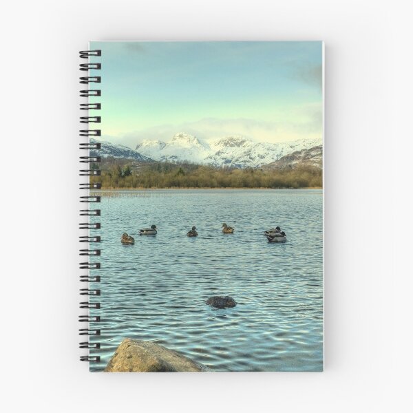 Item preview, Mallards of Elterwater designed and sold by Jamie  Green.