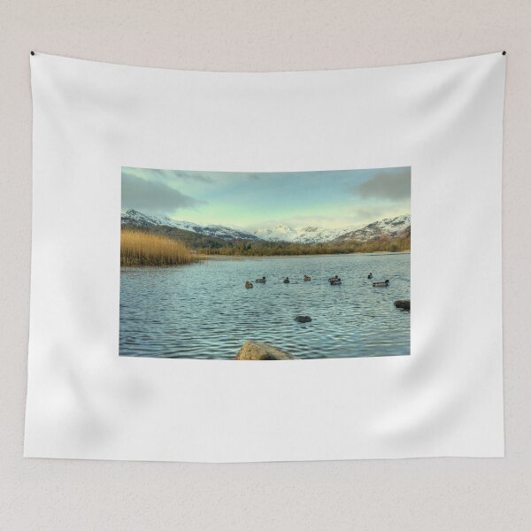 Item preview, Mallards of Elterwater designed and sold by Jamie  Green.