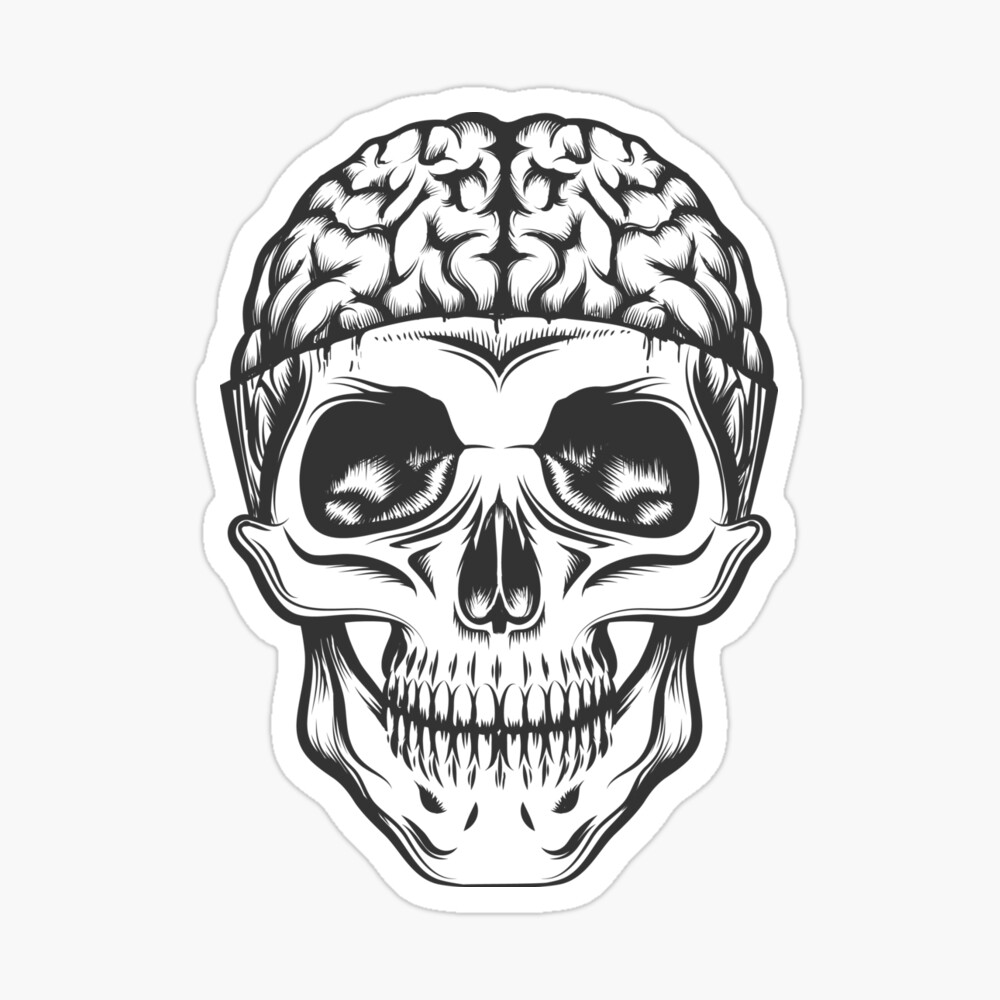 Pic 1 skull with exposed brain  Brain art, Brain drawing, Anatomy art