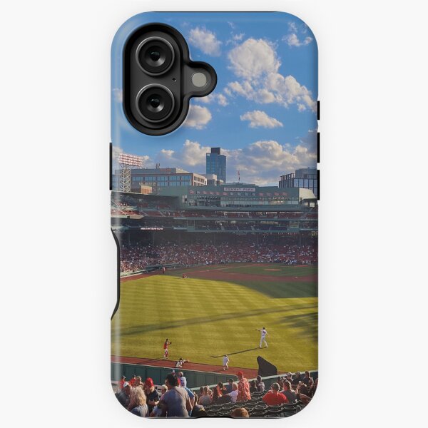 Aperçu de l'œuvre Parc Fenway créée et vendue par lillfer.