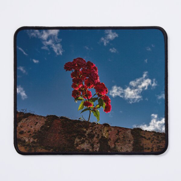 Item preview,  Flowers on the wall designed and sold by jasminewang.