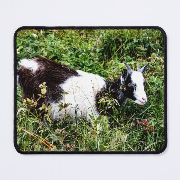 Item preview, photo of goat designed and sold by aither81.