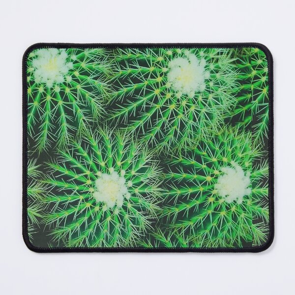 Item preview, Cactus Photograph from Mexico designed and sold by DeliveryGeorge.