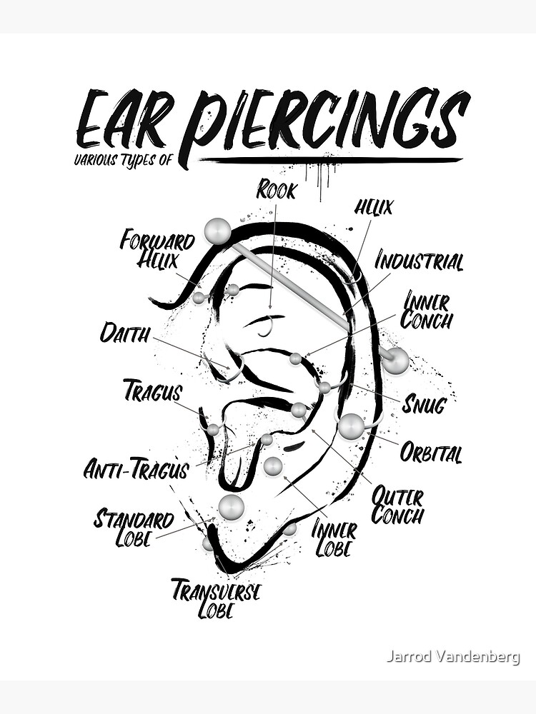 "Ink Ear Piercing Chart" Mounted Print for Sale by Jarrod44 Redbubble