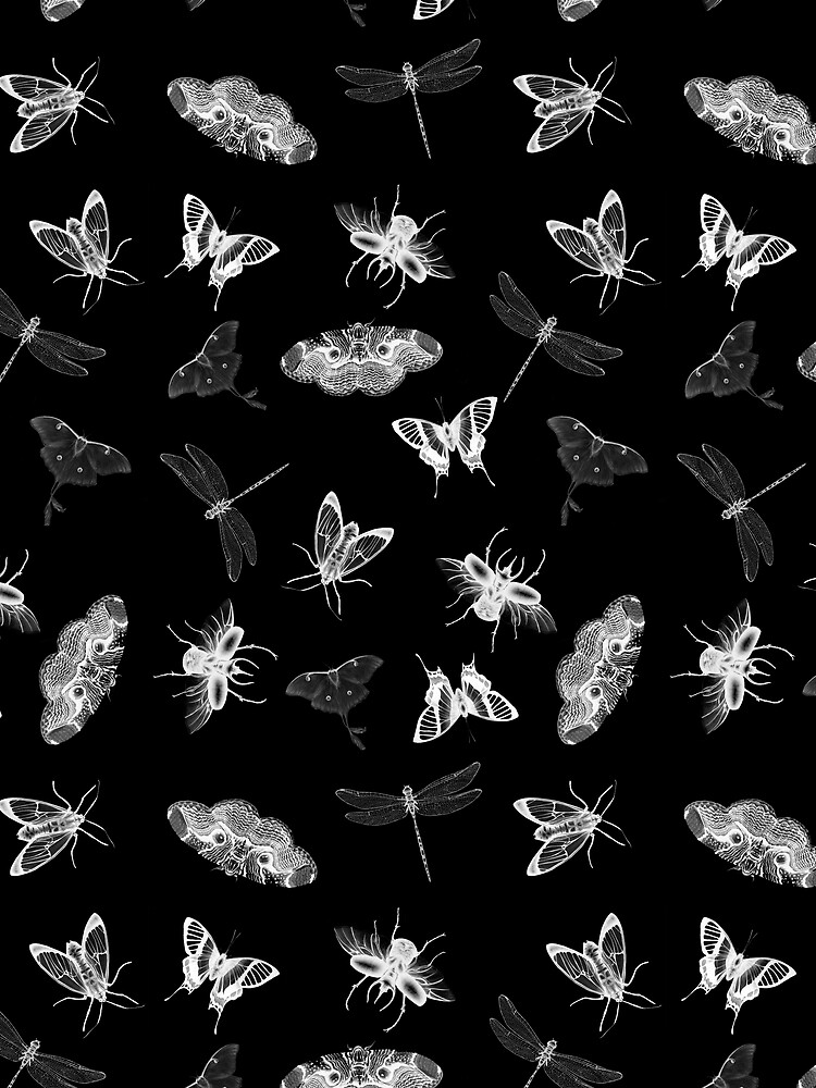 Entomologist Nightmares by ECMazur