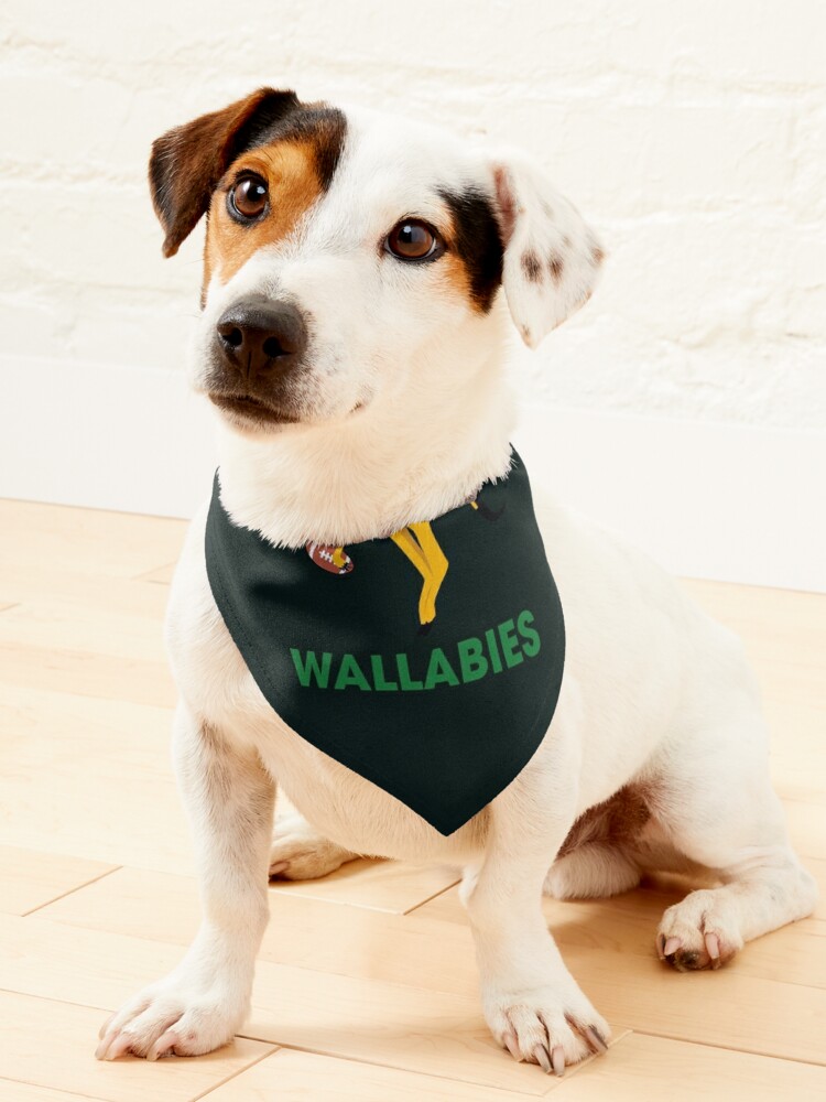 Springbok Rugby supporter gear Pet Bandana for Sale by Xhamela