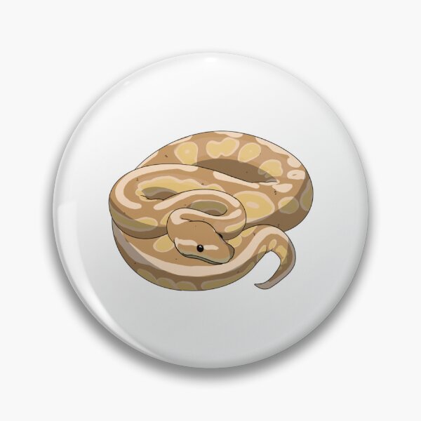 Item preview, Ball python juvenile coral glow morph   designed and sold by HeckinGoodVinyl.