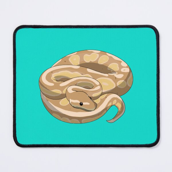 Item preview, Ball python juvenile coral glow morph   designed and sold by HeckinGoodVinyl.