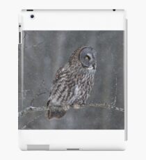 Perching Owl... iPad Case/Skin