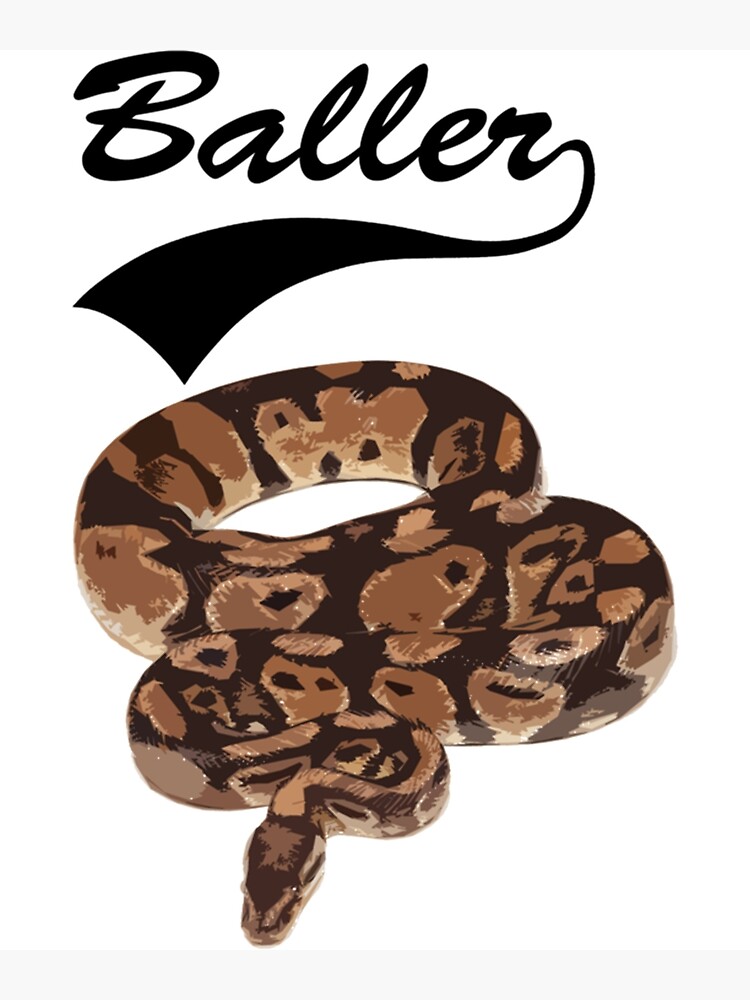 "Baller Ball Python Owner " Poster for Sale by HeckinGoodVinyl Redbubble