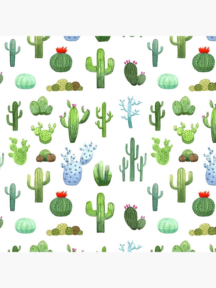 Watercolor Cactus by skrich