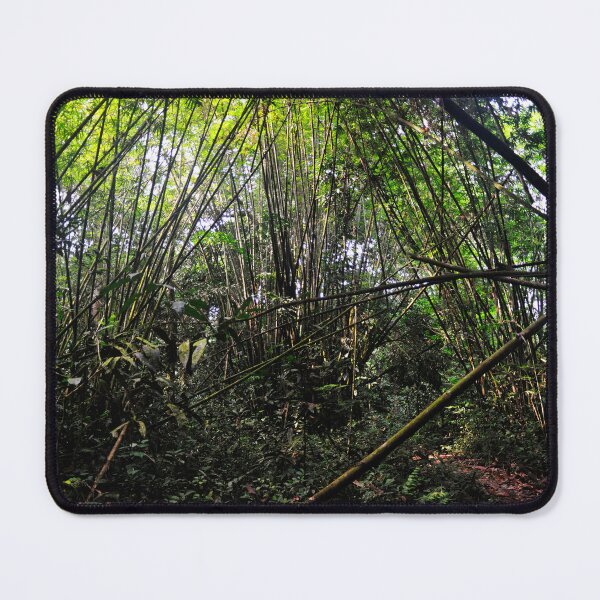 Item preview, "The Path" designed and sold by Andreas Koerner.