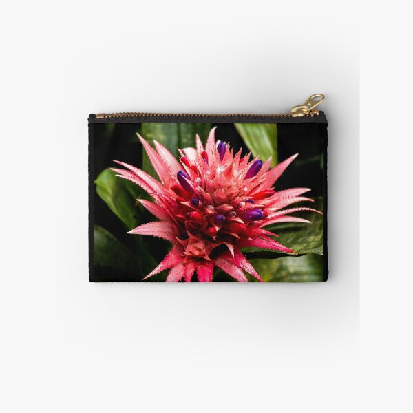 Item preview, Bromeliad plant designed and sold by Araveen-Photo.