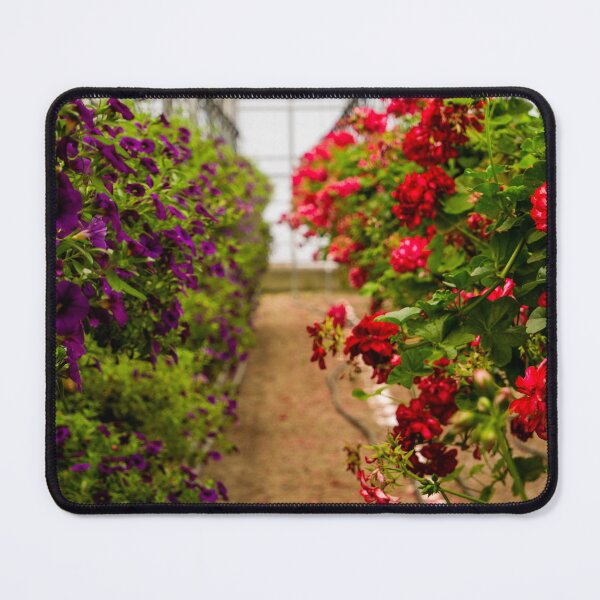 Item preview, Rows of flowers in greenhouse designed and sold by Araveen-Photo.