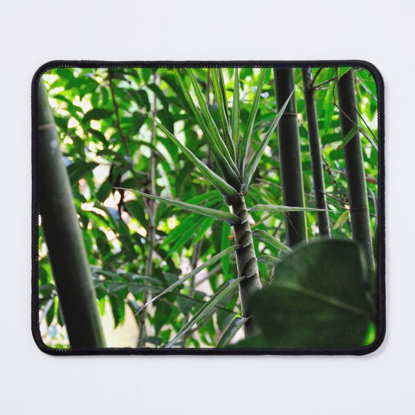 Item preview, "Fast Growing" designed and sold by Andreas Koerner.