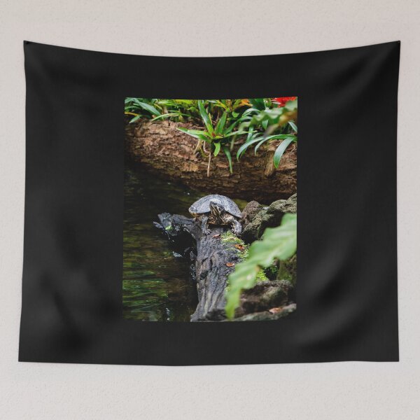 Item preview, Turtle designed and sold by Araveen-Photo.