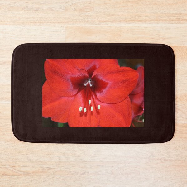 Item preview, Is this the Way to Amaryllis? designed and sold by RedHillDigital.