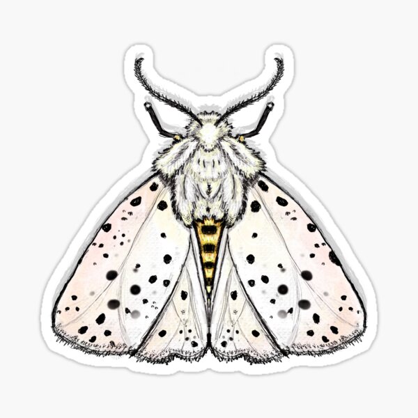 Moth Sticker – Fluffed Animals