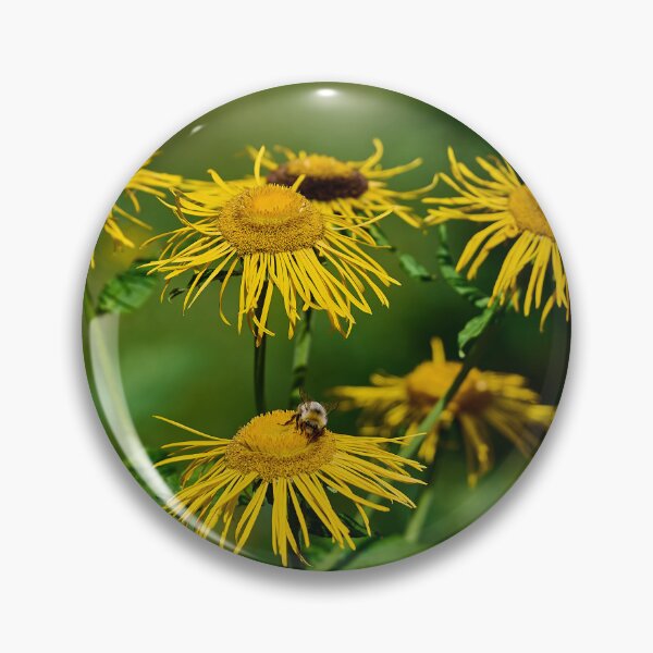 Item preview, Alpine flowers designed and sold by Mark Bangert.