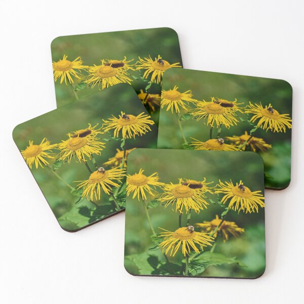 Artikelvorschau, Alpenblumen entworfen und verkauft von Mark Bangert.