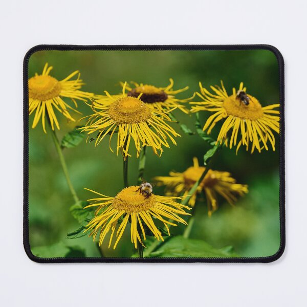 Item preview, Alpine flowers designed and sold by Mark Bangert.