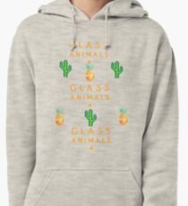 How To Be A Human Being Glass Animals Pullover Hoodie
